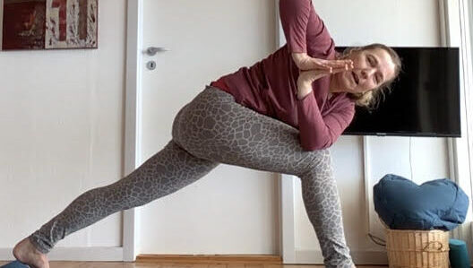 Hatha Flow yoga