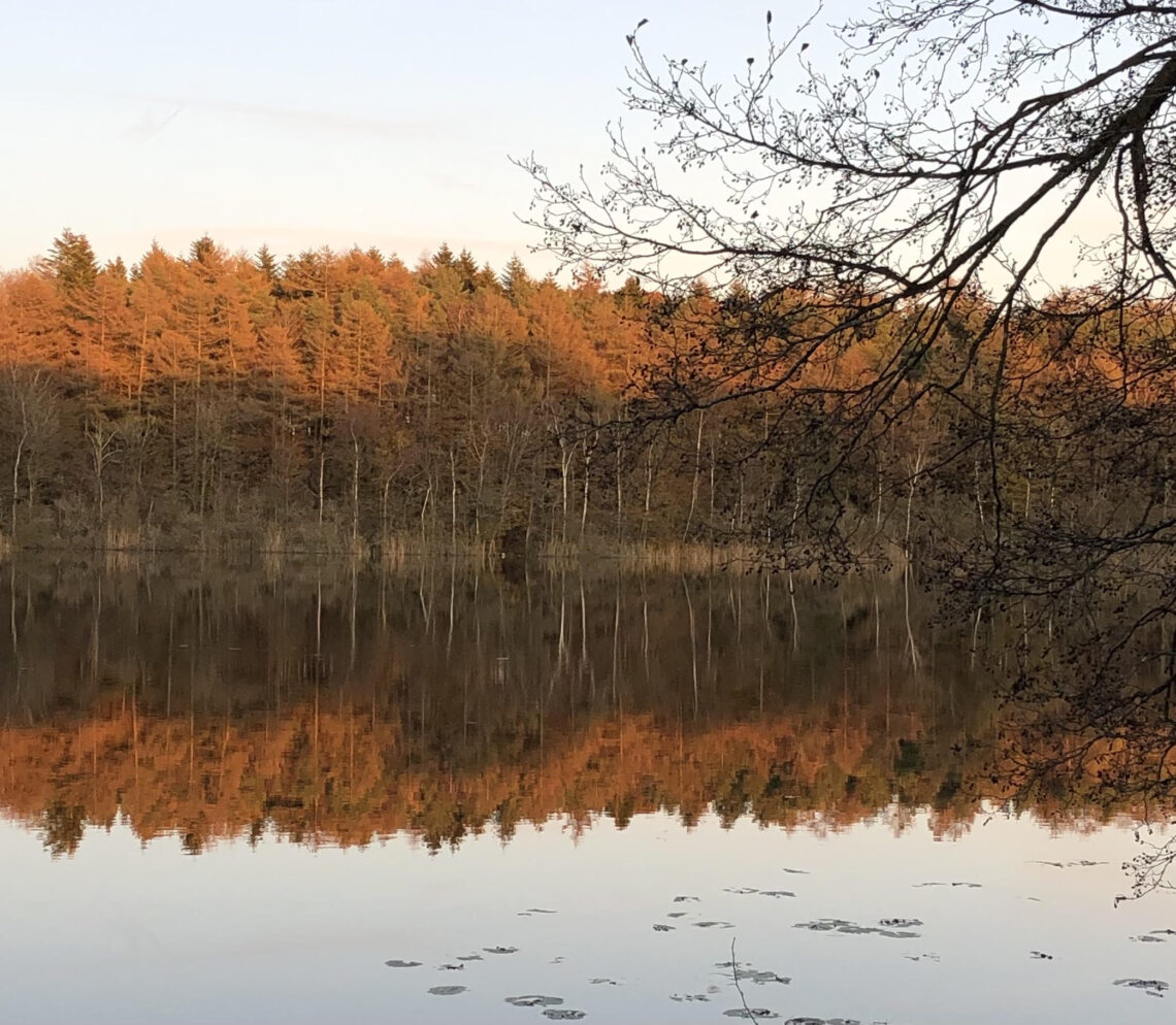 Vinter Sø